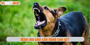 Nằm mơ chó cắn
